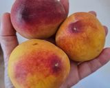 Foto del paso 2 de la receta: Duraznos frescos con crema agria a la canela 🍑