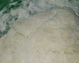 Foto del paso 1 de la receta: Pizza casera