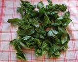 A picture of step 2 of Mezze Maniche with Tomato Sauce and Basil Pesto.
