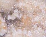 A picture of step 4 of Crispy Tempura Batter Like at a Japanese Restaurant (Single Use).