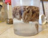 Foto del paso 2 de la receta: Leche de nuez (vegana)