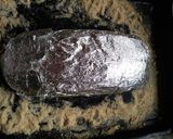 Foto del paso 4 de la receta: Pan de carne 🍖