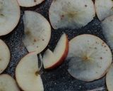Foto del paso 1 de la receta: Chips de manzana
