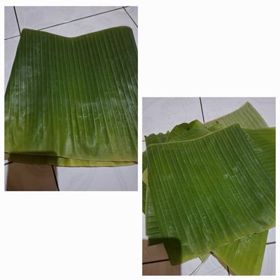 Langkah 5