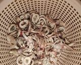 Foto langkah ke 1 dari resep Cumi Saos Mentega Simpel.