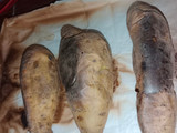 Ubi Cilembu oven tangkring