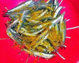 Foto del paso 2 de la receta: Alevines de boquerones fritos al fish masala