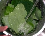Foto langkah ke 1 dari resep Cincau ijo homemade.