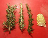 Foto del paso 14 de la receta: Brecas al romero en salsa especiada de tomate