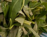 Foto langkah ke 1 dari resep Tumis Kangkung Pedas Terasi.