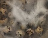 Foto langkah ke 1 dari resep Sate Telur Puyuh Bumbu Bacem.