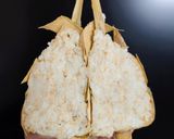 Foto langkah ke 4 dari resep 446. Ketupat Oat & Opor Ayam Spesial.
