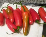 Foto del paso 1 de la receta: Ajies jalapeños en conserva