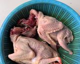 Foto langkah ke 1 dari resep Burung dara / merpati goreng.