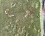 Foto del paso 6 de la receta: Aguachile Verde 🥑