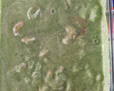 Foto del paso 6 de la receta: Aguachile Verde 🥑