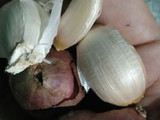 Telur bumbu bistik