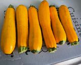Une image de l'étape 1 de Courgettes jaunes marinées grillées à la plancha.