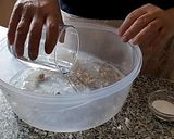 Foto del paso 2 de la receta: Focaccia Dulce