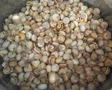 Foto del paso 2 de la receta Caracoles chupaeros con tomate