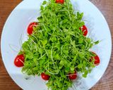 Hình bước làm 1 của món Salad rau mầm Noel