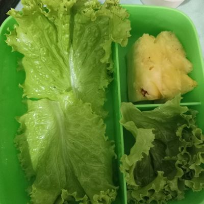Langkah 8