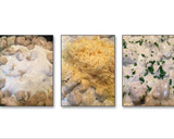 Foto del paso 2 de la receta: Pechugas pollo con salsa de queso