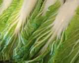 Foto del paso 3 de la receta: Arrolladitos de Akusay🥬 (vegano)