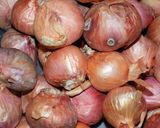 Foto del paso 1 de la receta: Cipollines italianos caramelizados (1)
