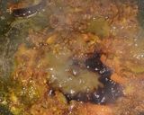 উড়িষ্যা স্টাইলে মিক্স ডাল (orissa style mix dal recipe in bengali) রেসিপি ধাপ - 5 ছবি