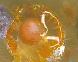 Foto del paso 5 de la receta: Huevos Flor