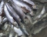 Foto langkah ke 1 dari resep Ikan Tembang Kuah Nanas.