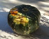 Sütőtökkrémleves! Fűszeres! VEGÁN! recept fázis 1 fotója