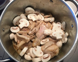 Foto del paso 3 de la receta: Pollo con setas, champiñones y cebolla
