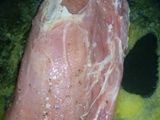 Solomillo de cerdo con salsa de queso