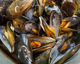 Foto del paso 5 de la receta: Mejillones con salsa de tomate. Olla GM