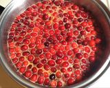 Foto del paso 3 de la receta: Salsa de Arándanos Rojos