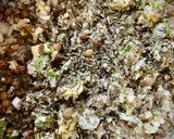Foto del paso 2 de la receta Ensalada verde de quinoa
