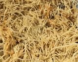 A picture of step 2 of Seviyan kheer (sheer khoorma).
