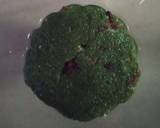 Betel Leaf Modak (Paan Modak) recipe step 5 photo
