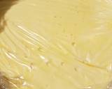 Custard Ice Cream recipe step 11 photo