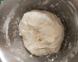 Foto langkah ke 3 dari resep One Day Multigrain Sourdough Loaf (Cold Starter).