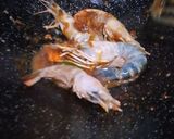 Foto langkah ke 3 dari resep Udang Saos Tiram.