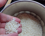 Foto del paso 4 de la receta: Cazuela de pulpitos del Golfo