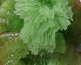 Foto langkah ke 4 dari resep Kue cucur pandan #pr_kuetradisionalberserat.