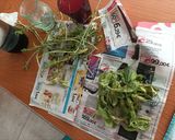 Foto del passaggio 1 della ricetta Pesto 🍃