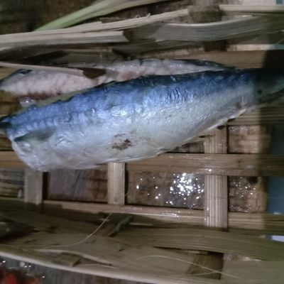 Langkah 1