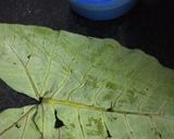 A picture of step 3 of Colocasia Leaves (Paatra).