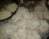 Foto del paso 4 de la receta: Pan para hamburguesa y patinesa todo fácil y económico
