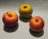 Foto del paso 1 de la receta: Torta de manzana SIN GLUTEN